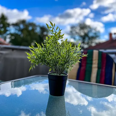 Godewind 33 Boltenhagen